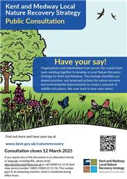 Local Nature Recovery Strategy Consultation